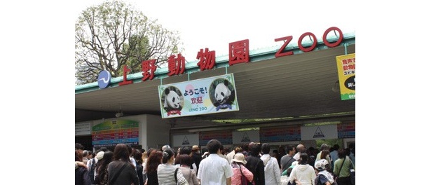 パンダ以外にも、約480種・2840点の動物が見られる日本最大の上野動物園は、この連休中ますます盛り上がりそう！