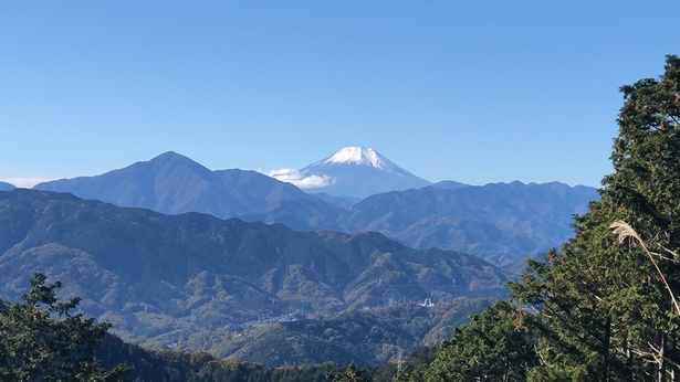 天気が良かったこともあり、高尾山の山頂からは富士山の姿が！ 山の上は空気もきれいだし、そとごはんも格段においしく感じました
