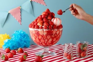 1メートル超えのいちごタワーが出現！ 東京ストロベリーパークで4日間だけのいちごパーティー