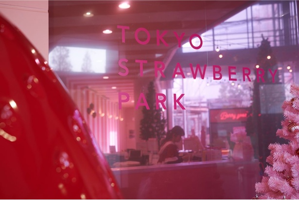 画像5 24 通年いちご狩りができる 話題の東京ストロベリーパーク体験レポ ウォーカープラス