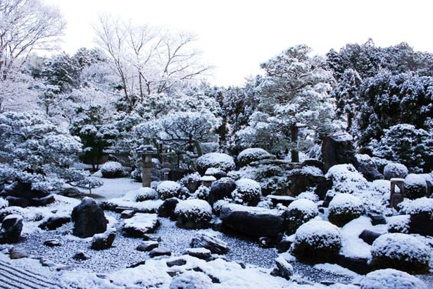 冬の京都の絶景 名所 妙満寺 雪の庭 と周辺スポットガイド ウォーカープラス