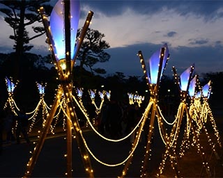 奈良公園一帯が美しい瑠璃色に包まれる「しあわせ回廊なら瑠璃絵」が奈良県で開催
