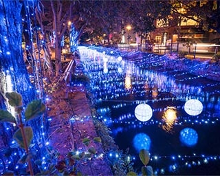 街なかで楽しめるきらめく「西川イルミ」が岡山県岡山市で開催中