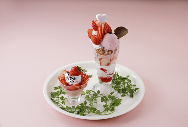 「いちごパフェ(大)」(税込 890円)は、高さ20cm超え！イチゴとイチゴプリンを組み合わせた「いちごパフェ(小)」(税込 550円)も、十分にイチゴを堪能できる / スパゲティハウス チャオ