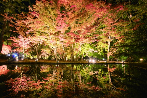 逆さ紅葉が有名な曽木公園。芸術的な写真が撮影できる