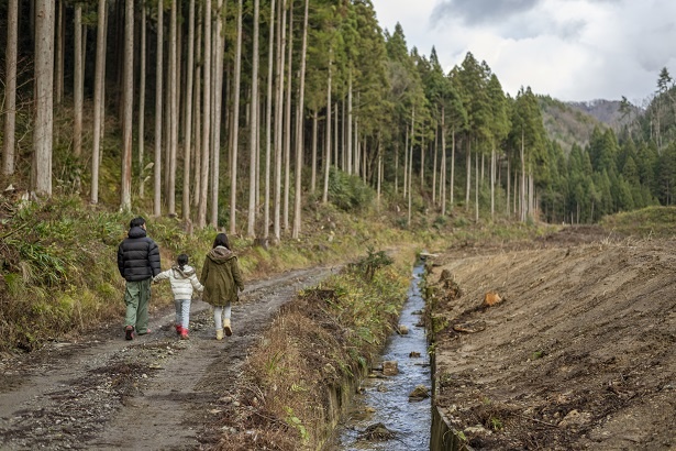 2021年5月に、5年に渡る整備が完了する予定の遊歩道