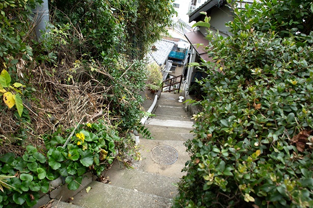 雑賀崎の斜面の路地。人ひとり通ればいっぱいの細い道が縦横にめぐり、迷路のような楽しさがある