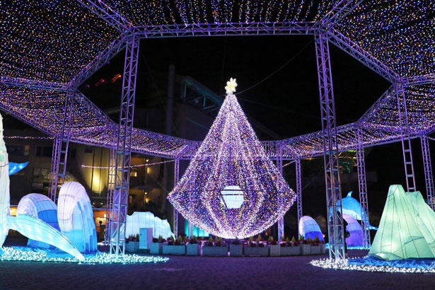 冬の横浜 八景島シーパラダイスは夜もアツい コウペンちゃん とのコラボイベントも ウォーカープラス