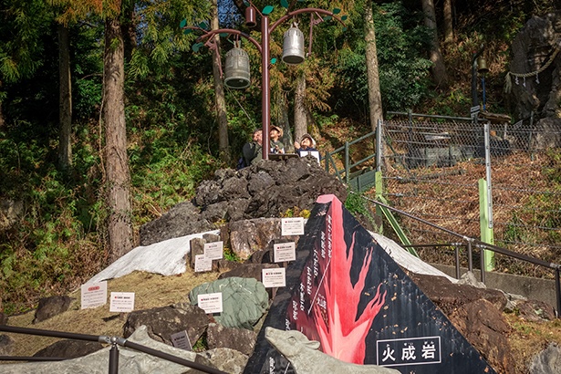 周囲を散策し、岩石園のてっぺんの「鐘の鳴る樹」に到着