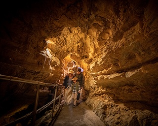 2億5000万年前の芸術！神秘的な天然の美術館、東海地方最大級の鍾乳洞へ
