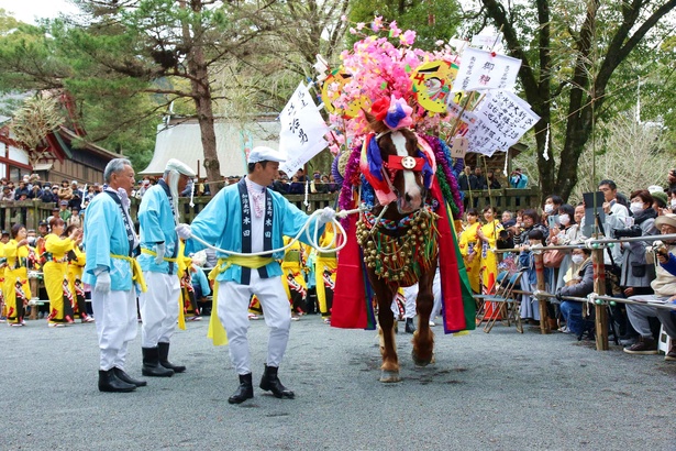 背中に色とりどりの華やかな装飾がされ鈴をつけた馬がとても可愛い