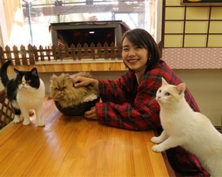 こたつで温まりながらネコとふれあえる「冬だ！ぬくぬく『こたつネコ』展示」が栃木県で開催中