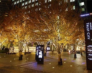 トラストシティ街区全体があたたかな光で包まれる「ウィンターイルミネーション」が宮城県で開催中
