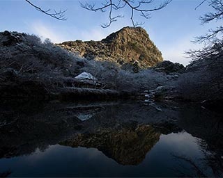 雪景色や椿を楽しむ「冬枯れと、たまに雪景色」が佐賀県武雄市で開催中