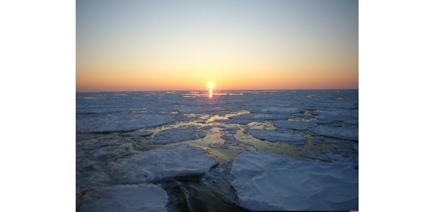 多くの命を育む流氷