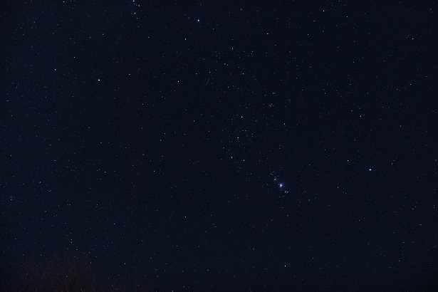 空を見上げると、視界いっぱいに満点の星空が広がる
