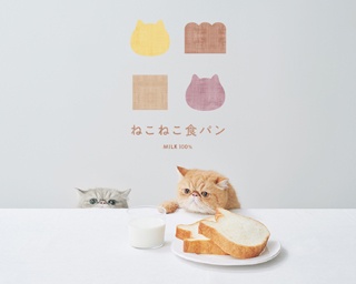 ネコの形がかわいすぎる！名古屋栄に「ねこねこ食パン」が上陸