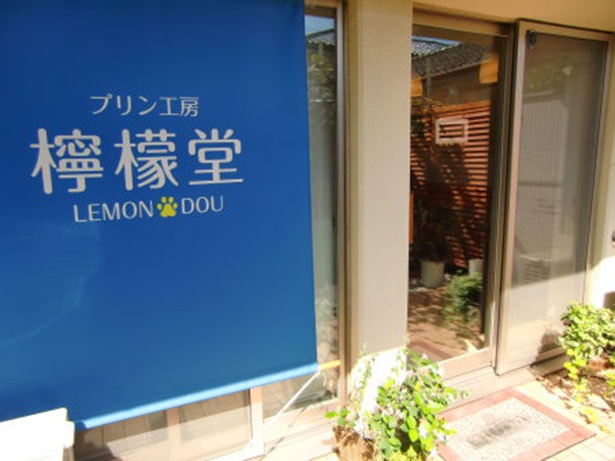 店名の「檸檬堂。」はオーナーの愛犬・檸檬ちゃんが由来