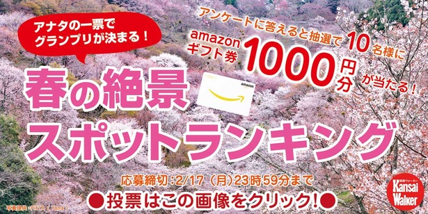 お気に入りの絶景を投票しよう!