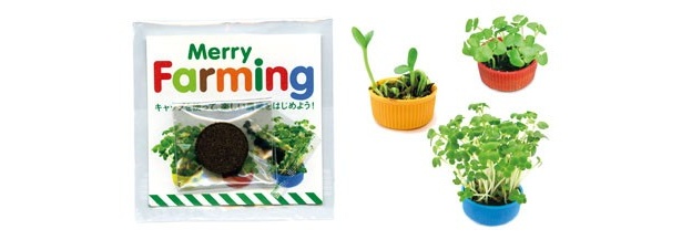 【画像】太陽熱を利用した調理器具も！ 注目の最新エコグッズ画像