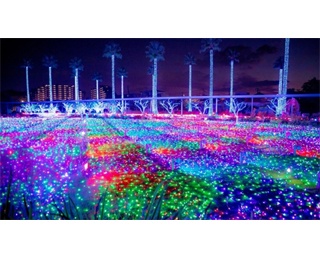 今週末の予定はコレで決まり！週末イベント5選・福岡県編[2020年2月21日(金)～24日(祝)]