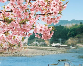  この春行きたい！3月に開催される長崎のイベント2選