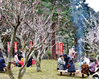 この春行きたい！3月に開催される山口のイベントをチェック