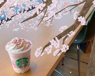今年もSAKURAの季節がやってきた！スタバ新作さくらフラペチーノはピンク×ピンクの激カワ仕上げ