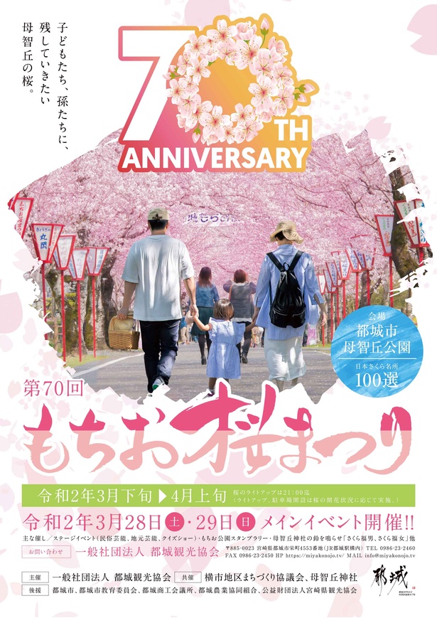美しい桜に酔いしれて