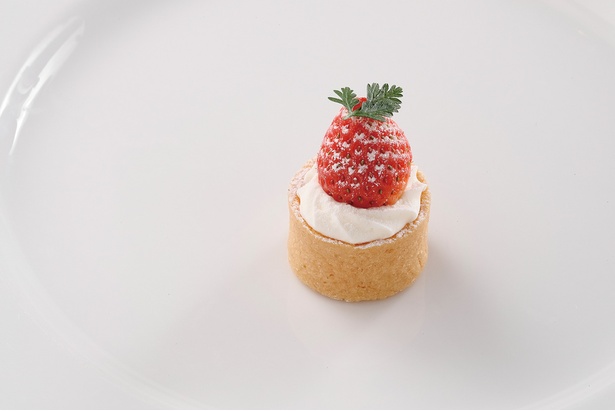 ひと口サイズでパクッとつまめるミニタルト。タルト生地のサクサクとした食感と生クリーム、フレッシュなイチゴのハーモニー / 名古屋観光ホテル