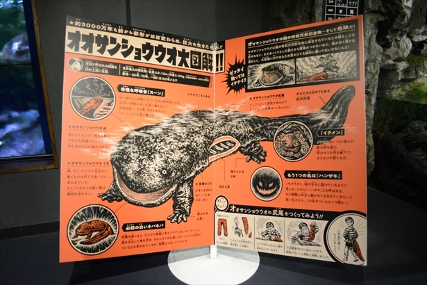 昭和の怪獣図鑑のような「オオサンショウウオ大図解」