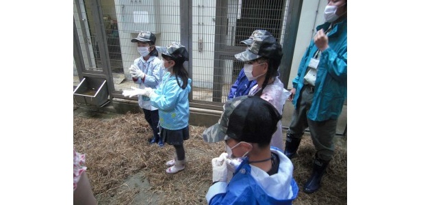 手袋をします。いよいよ獣舎へ。保護者は外で待ち、ここからは子どもたちだけです