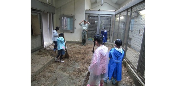 一晩明かした動物たちの部屋。えさの草やふんなどが散乱！