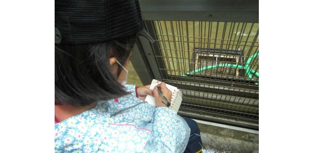 将来、飼育員になりたい、という子ども多く参加。メモを取っている姿には脱帽です