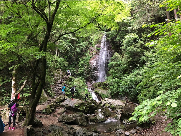 東京都で唯一「日本の滝百選」に選ばれた名瀑・払沢(ほっさわ)の滝は、村の観光スポットのひとつ