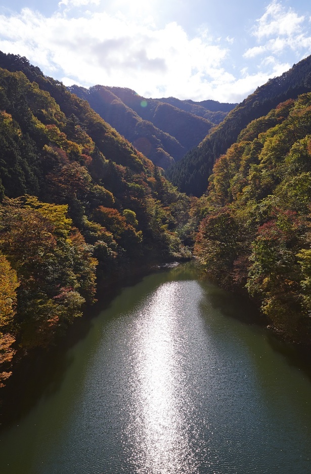 都内とは思えないほど雄大な自然の景色を楽しむことができる奥多摩湖周辺