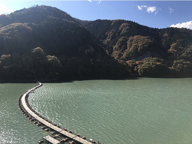 エメラルドグリーンに輝く湖面を眺めながら奥多摩湖を歩いて渡ることができる「麦山浮橋」