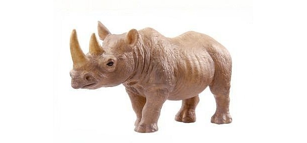 サイ