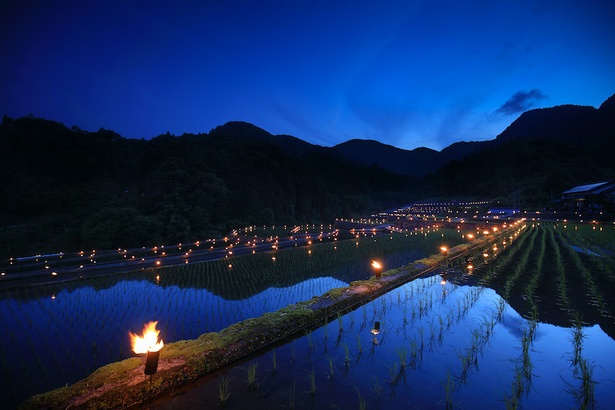 「棚田の火祭り」。水田に映り込む灯りがさらに幻想的な雰囲気を演出