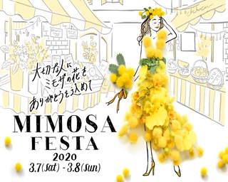 イタリアのひな祭り！ミモザの花で彩る「ミモザフェスタ2020」を川崎で開催！