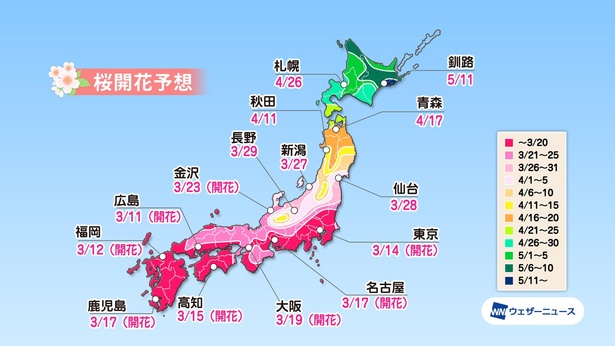 全国主要都市の桜開花予想(情報は2021年3月24日発表  ウェザーニューズ)