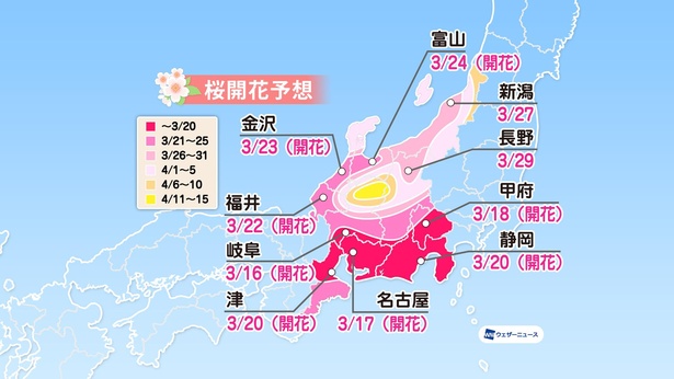 中部地方の桜開花予想(情報は2021年3月24日発表  ウェザーニューズ)