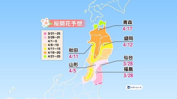 東北地方の桜開花予想(情報は2021年3月24日発表  ウェザーニューズ)