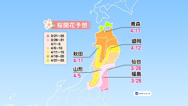 東北地方の桜開花予想(情報は2021年3月24日発表 ウェザーニューズ)