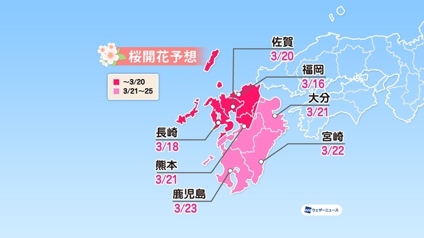 九州地方の桜開花予想(情報は2022年1月13日発表  ウェザーニューズ)