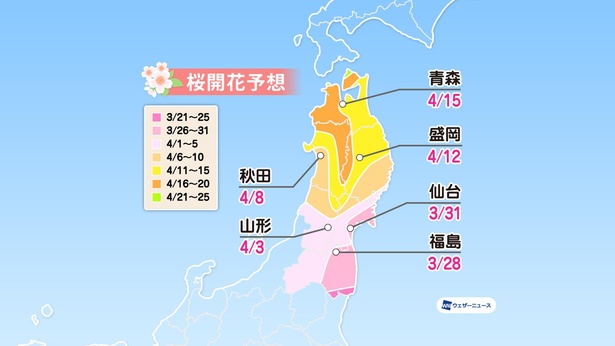 東北地方の桜開花予想(情報は2022年1月13日発表  ウェザーニューズ)
