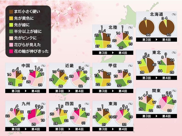 全国の桜の生長状況(情報は2021年3月24日発表 ウェザーニューズ)