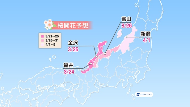 北陸地方の桜開花予想(情報は2022年1月13日発表 ウェザーニューズ)
