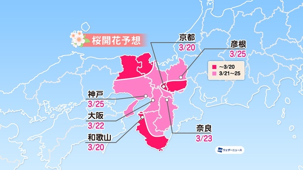 近畿地方の桜開花予想(情報は2022年1月13日発表  ウェザーニューズ)
