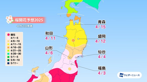 東北地方の桜開花予想(情報は2025年4月2日発表　ウェザーニューズ)
